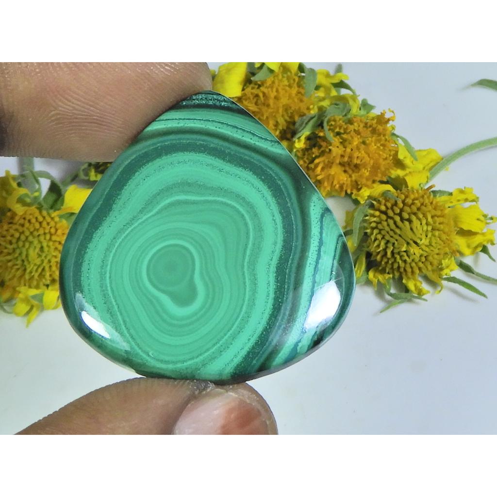 AA++ Natural Green Malachite Pear Cabochon Loose Gemstone 30X34X04MM 55Cts. D-59