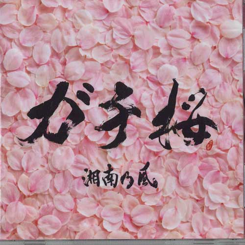

CD SHONAN NO KAZE - Gachi Zakura TFCC89293 TOYS FACTORY Japan Japanese Pop/Rock Used