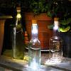 USB Rechargeable LED Bottle Lights Craft Light Wine Bottle Lights  Romantic Ambiance