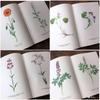 [USED] Botanical encyclopedia, foreign books, Czech botanical encyclopedia, botanical art