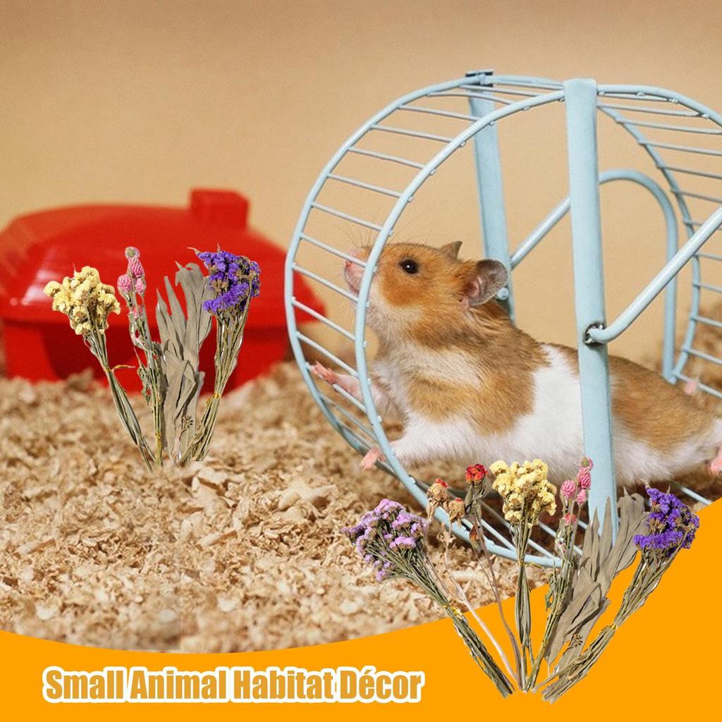 Hamster Bedding Natural Dried Flower Gerbil Bedding Odor Control Enclosure Habitat Decor For Rabbits Gerbils Or Other Small