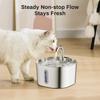 Stainless Steel Pet Water Fountain Automatic Water Flow Pet Drinking Fountain  Home Pet Use