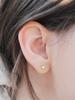 Engbrox [Silver925] Dazzle Star Cubic Earring