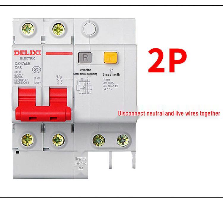 Delixi Type D DZ47SLE 220V 2P Miniature Circuit Breaker with Earth Leakage Protection.
