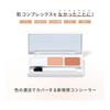Concealer Highlight Dark Circles Stain Coverage [WATOSA Super Cover Foundation Potts N White Beige] Concealer Palette Foundation Watusa