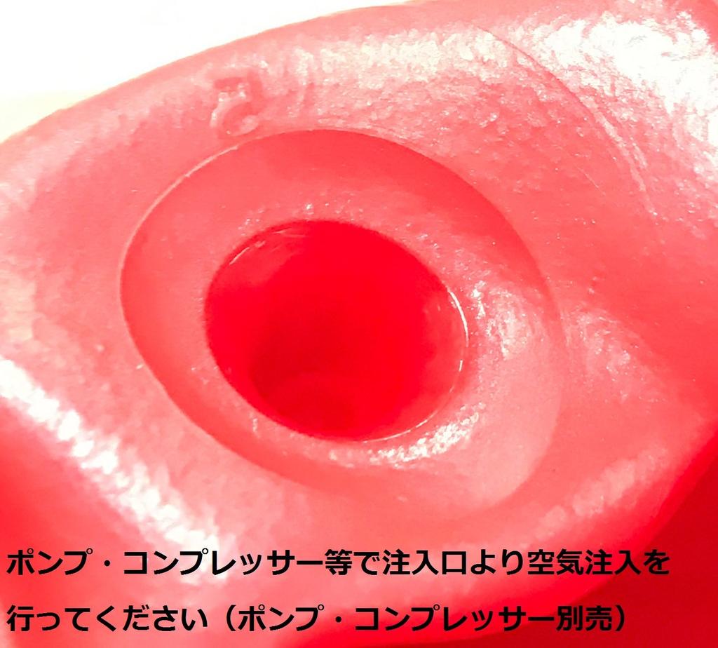 TOEI LIGHT Body Ball 55 H7261