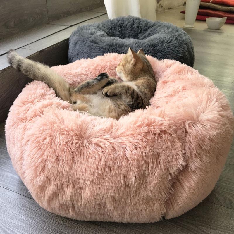 super soft dog bed
