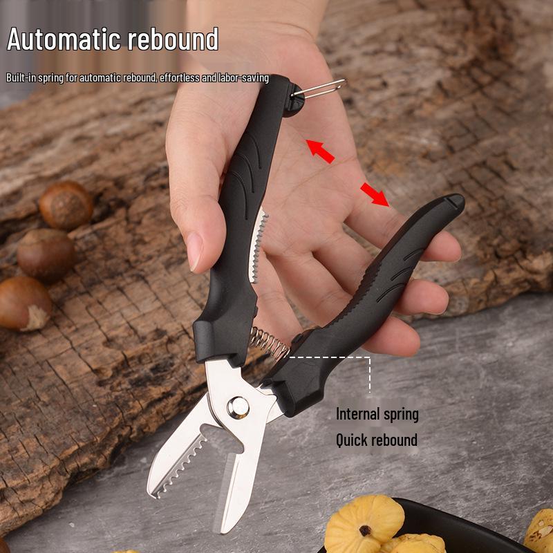 Chestnut Peeler & Shell Opener Stainless Steel Tool