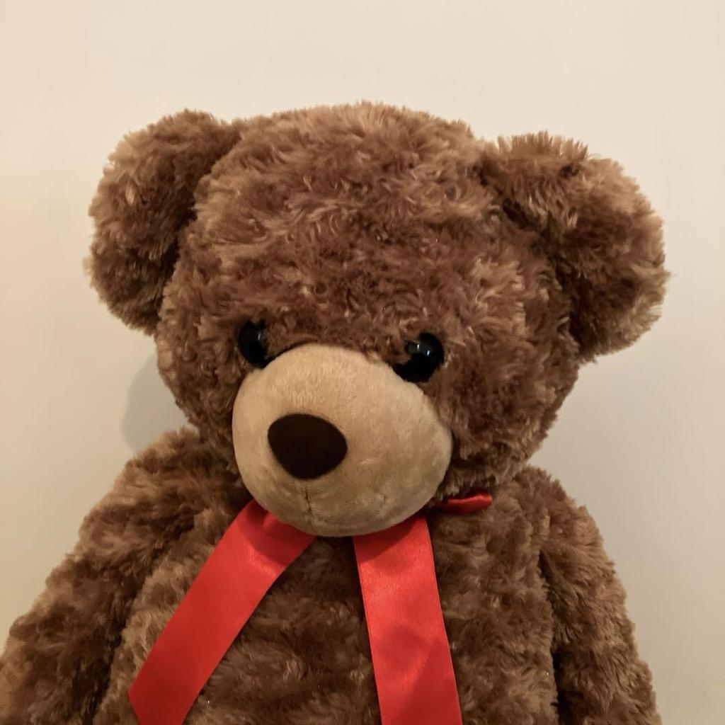 [USED] Teddy bear 50cm