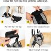 Adjustable Velcro Strap Dog Rear Leg Support Harness Dog Lift Support Strap  Injured Dogs