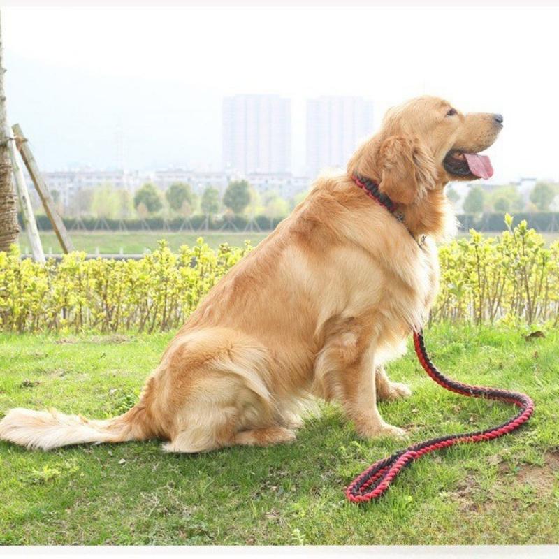Pet Leash Medium and Large Dog Leash Bold Reinforced Leash Giant Dog Walking Leash Pet Supplies