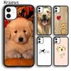 Krajews Golden Retriever Dog Cute Puppy Phone Case For iPhone 17 Air 16 15 14 Plus 11 12 13 Pro Max Plus Coque Fundas