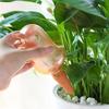 Garden Automatic Watering Tool Cute Birds Indoor Drip Irrigation Watering System Kit Potted Plant Waterers Spike For Plant