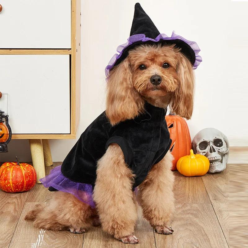 Pet Transformation Dress Halloween Dog Pointed Hat Clothes Pet Cat Dog Cloak Christmas Set Dog Dresses for Small Dogs
