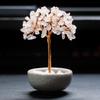 Bestselling Yellow Crystal Tree Teacup Coaster Ornament for Home or Office Decor