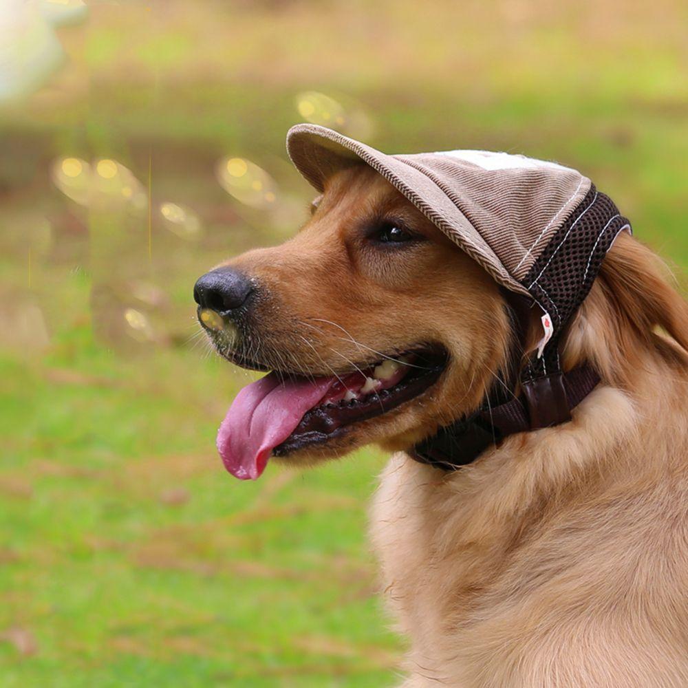 With Ear Holes Outdoor Hiking Breathable Mesh Summer Hat Dog Baseball Cap Sun Hat Pet Accessories