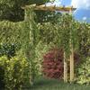 VidaXL Arch for Roses 150 X 60 X 204 Cm Impregnated Wood 41912