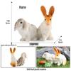 Mini Poultry Animal Models: Yellow Cattle, Chicken, Duck, Goose, Pig, Goat, Donkey, Horse Toys for Kids' Early Education & Decor