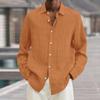 Design Sense Solid Color Shirt Men's Long Sleeved Spring Autumn Trendy Brand Loose Casual Shirts Men’s