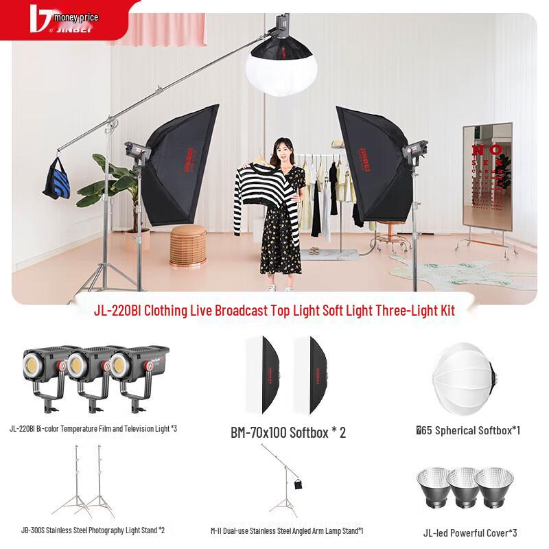 Jinbei 220W Adjustable Color Temperature LED Soft Light Kit