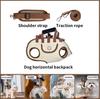 Haustier Hund Katze Reisetasche Handtasche Schleppleine