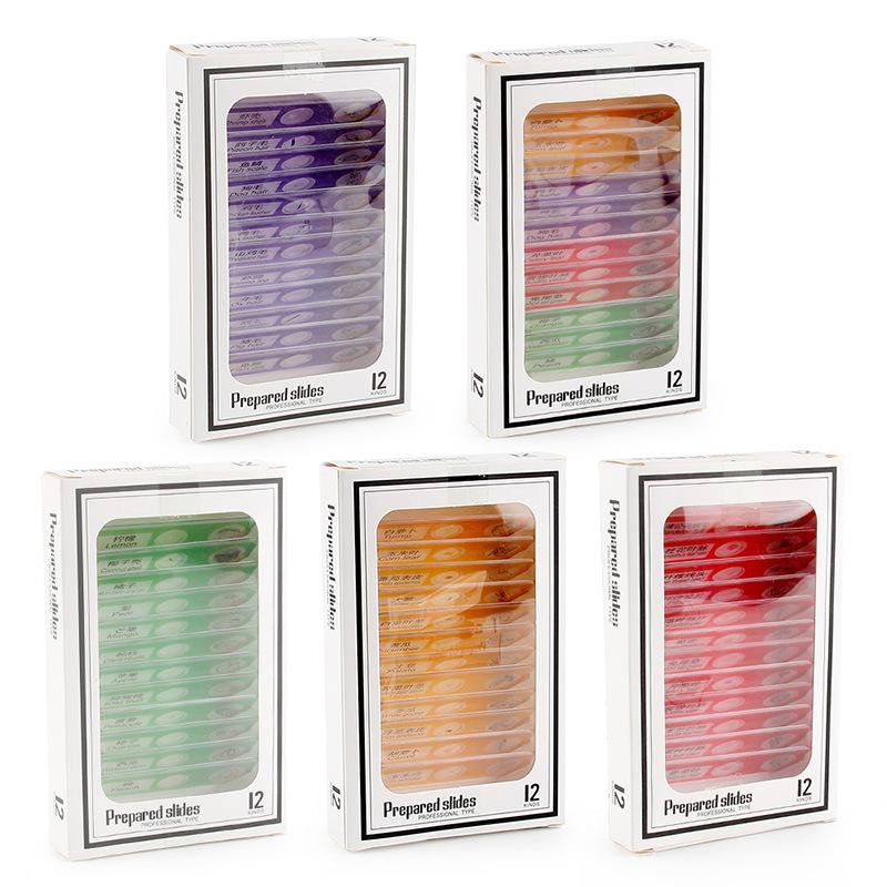 Children'S Microscope Animal Plant Insect Fruit And Vegetable 12Pcs Biological Specimen Set Scientific Experiment Toy Accessories