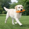 Bite-resistant Dog Chew Toy Squeaky Sound Sound-Producing Toy Interactive Toy  Training