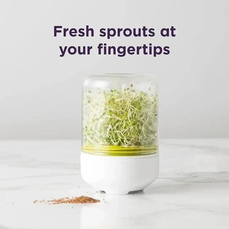Sprouting Jar Kit Sprouts Growing Kit Wide Mouth Reusable Household Kitchen Bean Plants Sprouting System Seeds Container