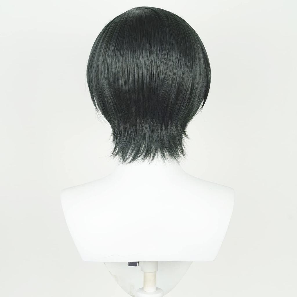 Blue Locks Rin Itoshi Wig, Cosplay Wig, High Temperature Resistant, School Festival Wig with Net (Rin Itoshi Wig)