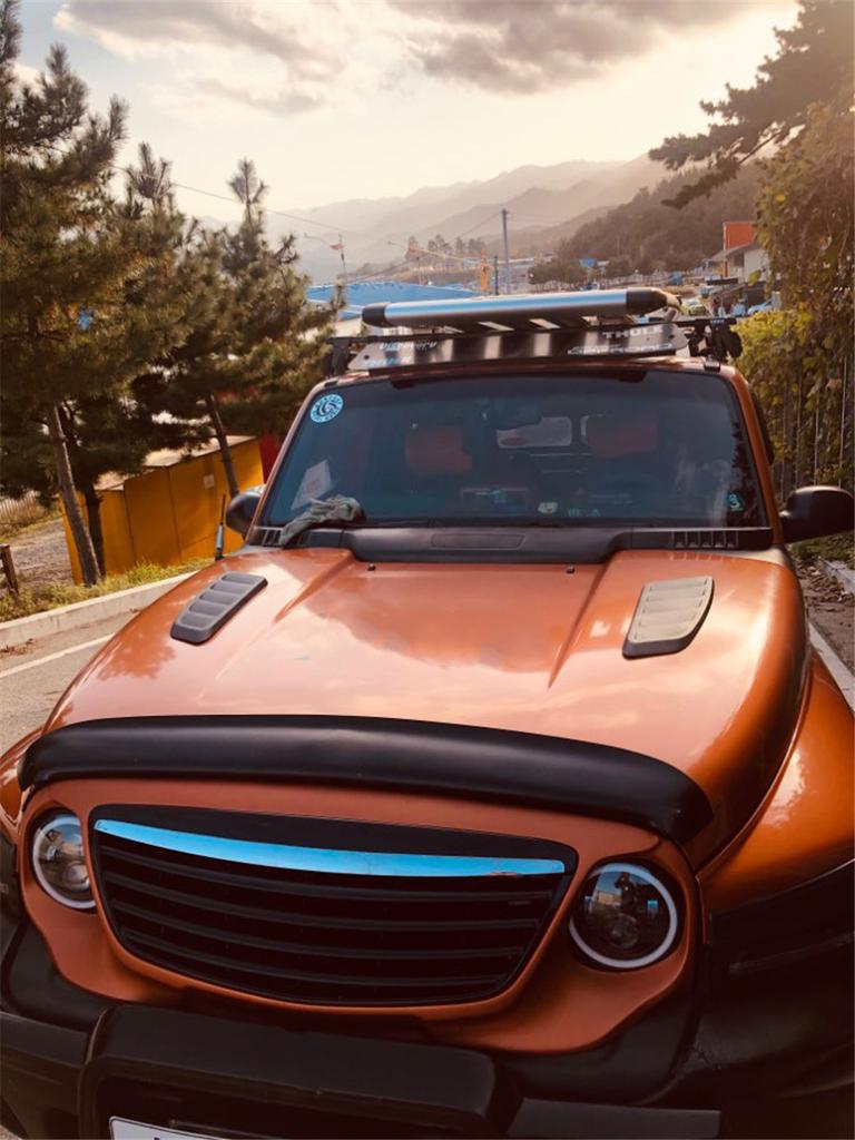 2 Stück ABS Auto Motorhaube Lufteinlass, Front Motorhauben Entlüftungsgitter für Ford Mustang