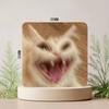 Grappige Kat Memes Koelkastmagneet Gepersonaliseerde Creatieve Magnetische Stickers Met Magneten