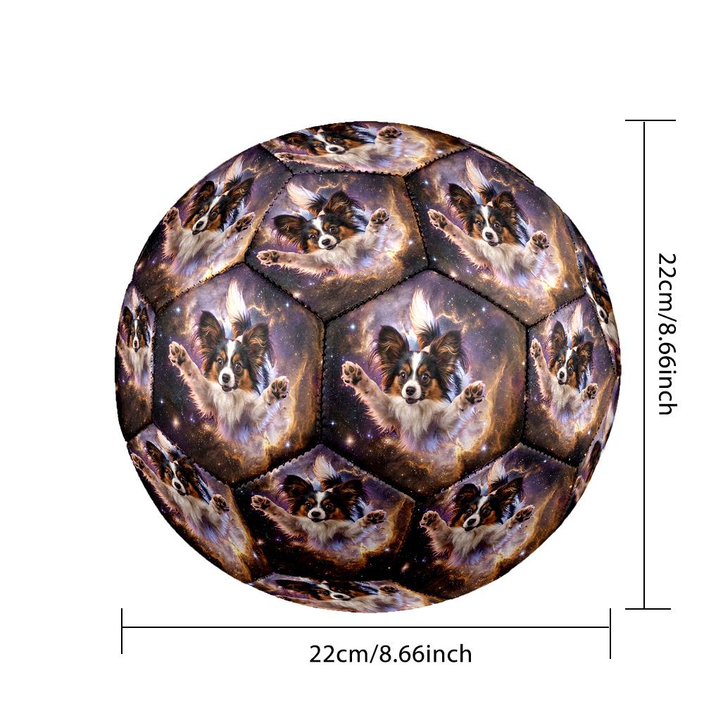 Galaxy Cat Dog Indoor Soccer Ball Size 5 Colorful All Ages Machine Stitched PVC Competition Ready Durable High-Bounce