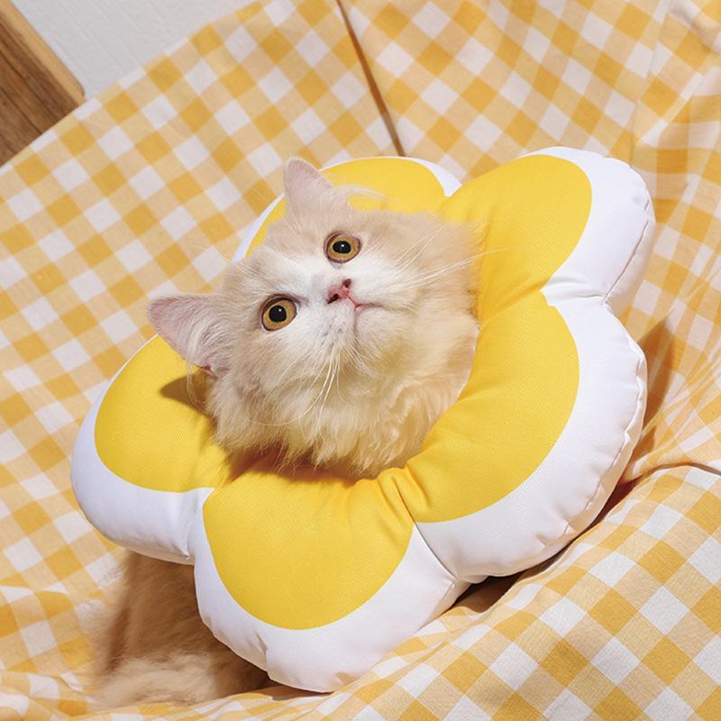 

Pet Supplies Pet Leash Pet Collar Dog Cat Collar Outdoor Pet Essential