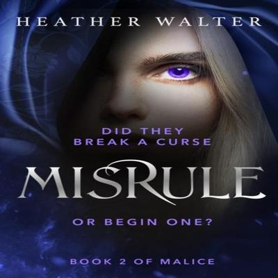 Misrule by Heather Walter Paperback Book 9781529101324