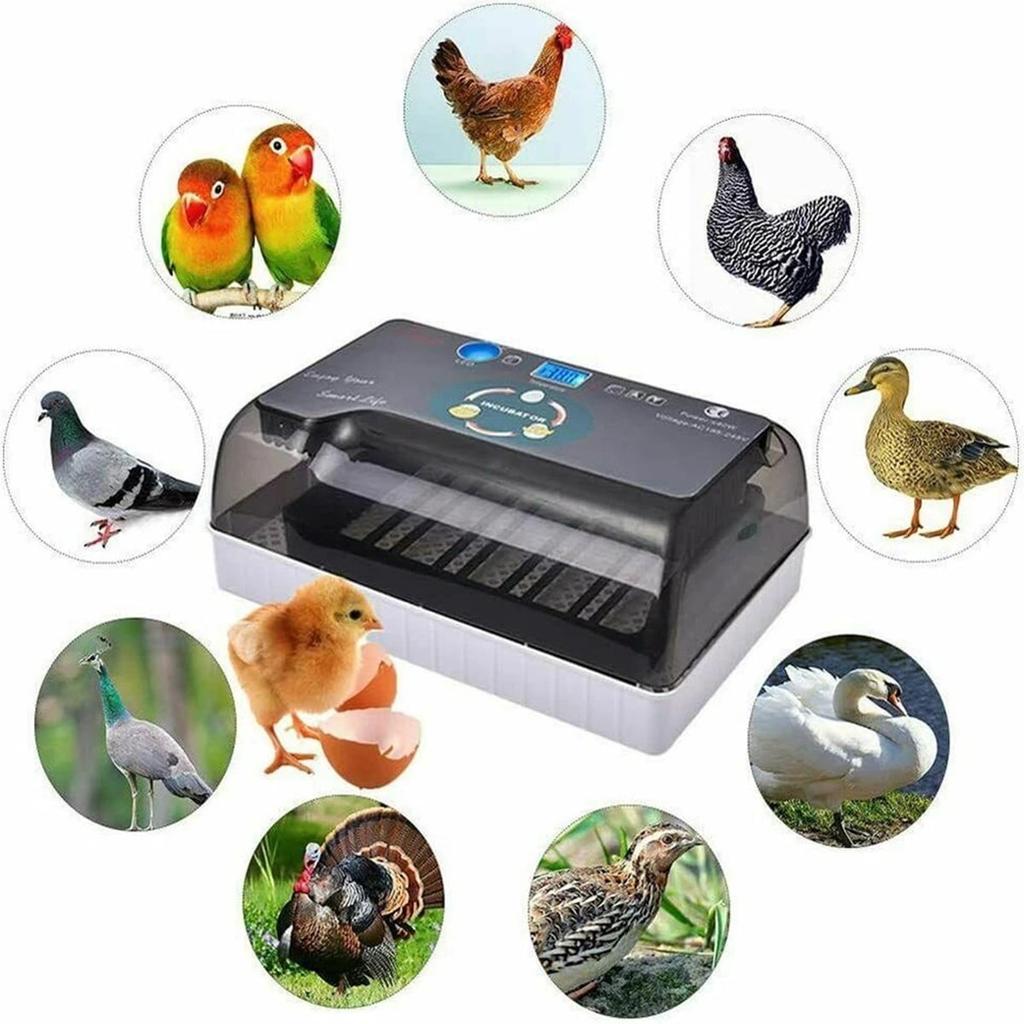 12 Egg Incubator Automatic, Digital Smart Incubator with Auto Turner & Temperature Control, for Hatching Chicken, Duck, Goose Eggs