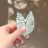 50 Colorful Caladium Leaf Stickers: Realistic Transparent PET for Scrapbooking, DIY & Phone Case Decor