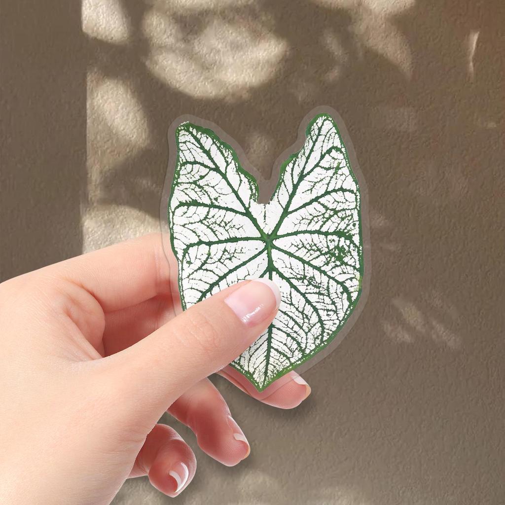 50 Colorful Caladium Leaf Stickers: Realistic Transparent PET for Scrapbooking, DIY & Phone Case Decor
