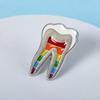 Dental Gift Badge Metal Tooth Type Shape Molar Brooch Badge Pin Adornment