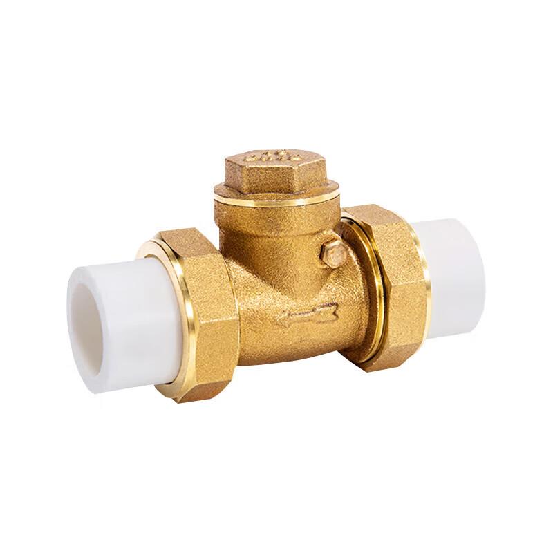 PPR Brass Hot-Melt Horizontal Check Valve