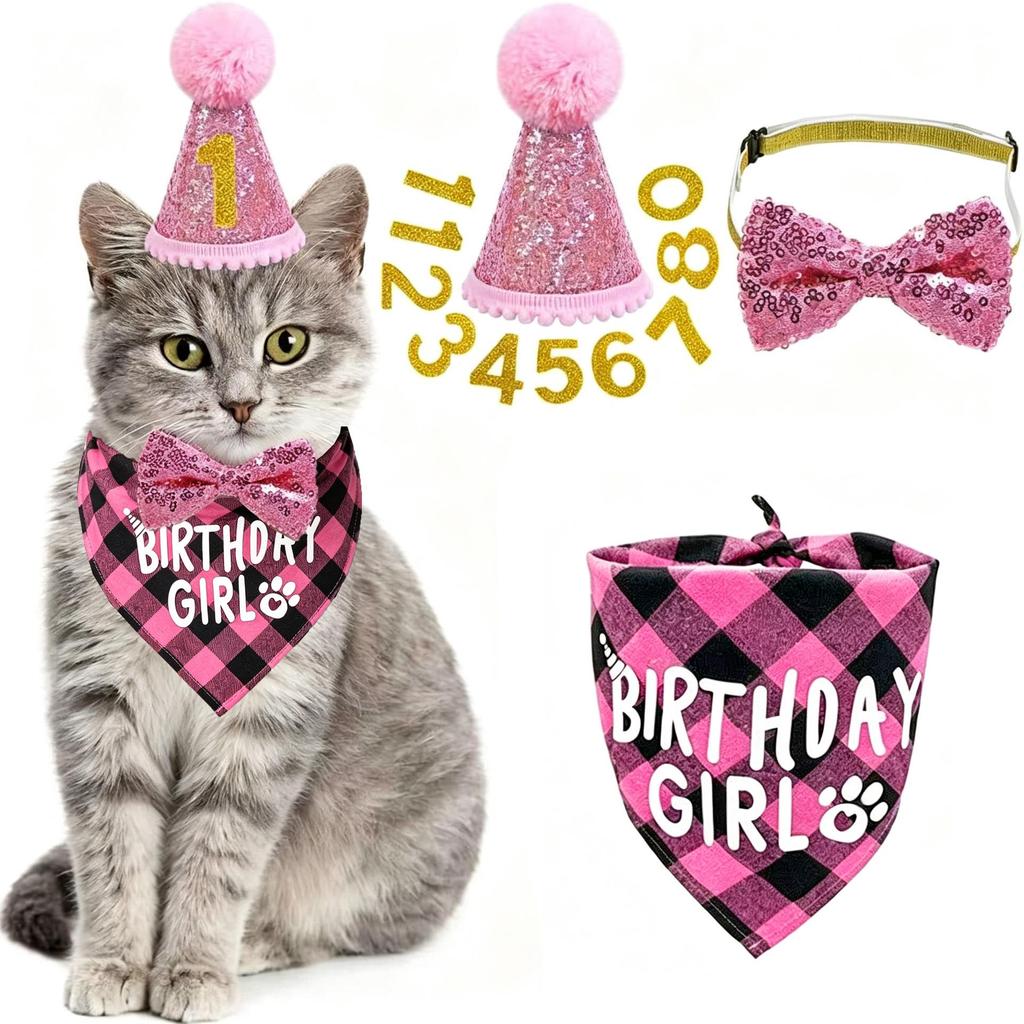 Pet Birthday Set: Dog Bib, Hat, Banner, Number Flags, Party Props