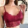 Lingerie Sem Fio Vazada Sutiã Sem Costura Mulheres Sutiãs de Renda Top Bralette Confortável Cor Sólida Roupa Íntima Sexy Colete Top Sutiãs Femininos