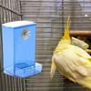 Bird Feeder with Dustproof Lid Automatic Clear Anti-spill Mount Budgie Cockatiel Conure Food Dispenser Pet Supplies
