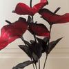 Multicolor Artificial Anthurium Silk Faux Red Palm Creative Simulation Rose  Gift