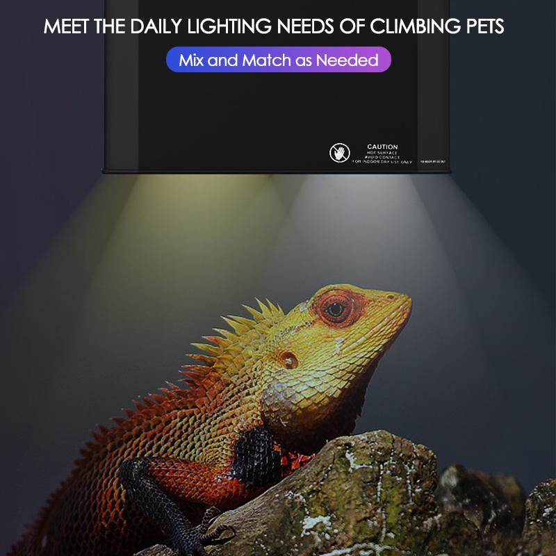 Duże pudełko do karmienia gadów i żółwi Zbiornik tropikalny Lampa słoneczna UVA Ogrzewanie UVB Zintegrowany podwójny klosz Oświetlenie dla płazów