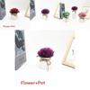 Plastic Veronicastrum Caulopterum Mini Pot With Roped Butterfly Design For Indoor Outdoor And Special Occasion Use