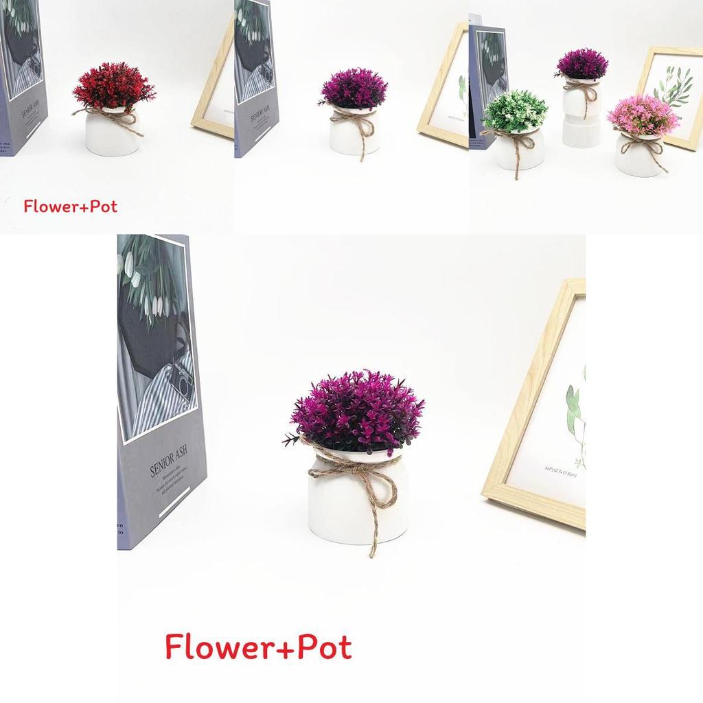 Plastic Veronicastrum Caulopterum Mini Pot With Roped Butterfly Design For Indoor Outdoor And Special Occasion Use