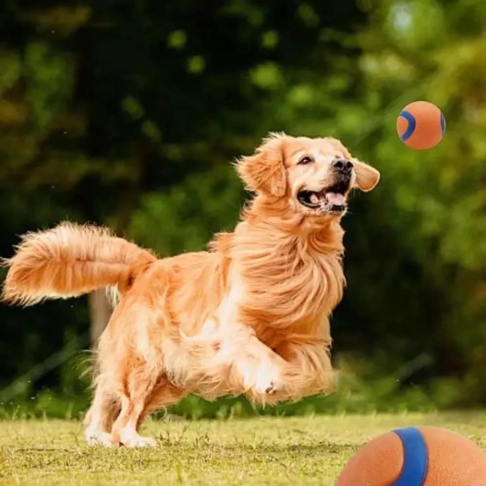 Dog Toy Ball Solid Elastic Fetch Chew Ball, Tough Durable Jumping Interactive Design, Bite Resistant High Elastic Pet Supplies
