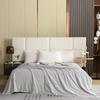 Jieliya Tencel Summer Quilt