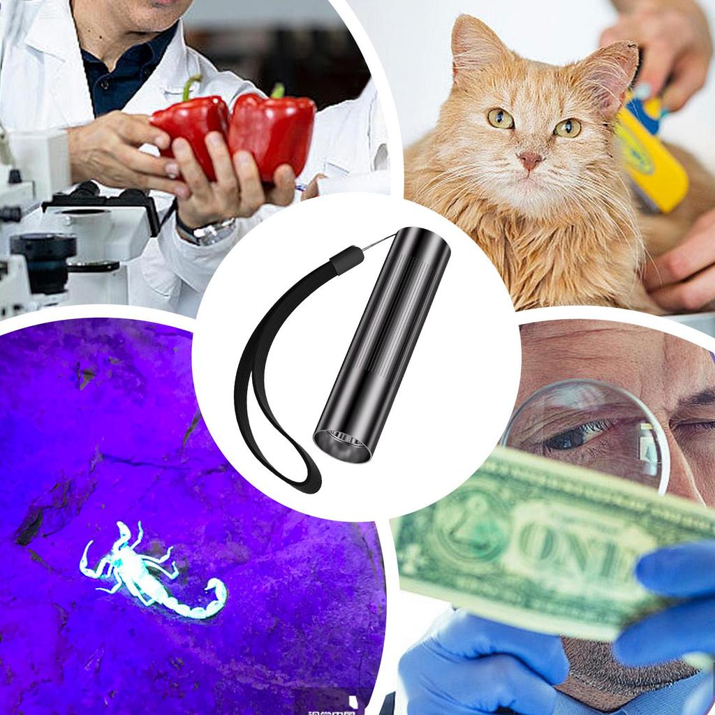 395nm UV Flashlight 200mAh TYPE-C charging Ultra-violet Torch Waterproof UV Lamp for Pet Urine Stain Gem and Money Detector