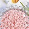 Pink Series Dried Rose Nail Art Accessories Pure Desire Rose Carving DIY Earrings Hair Clips Resin Nail Art Material Kit